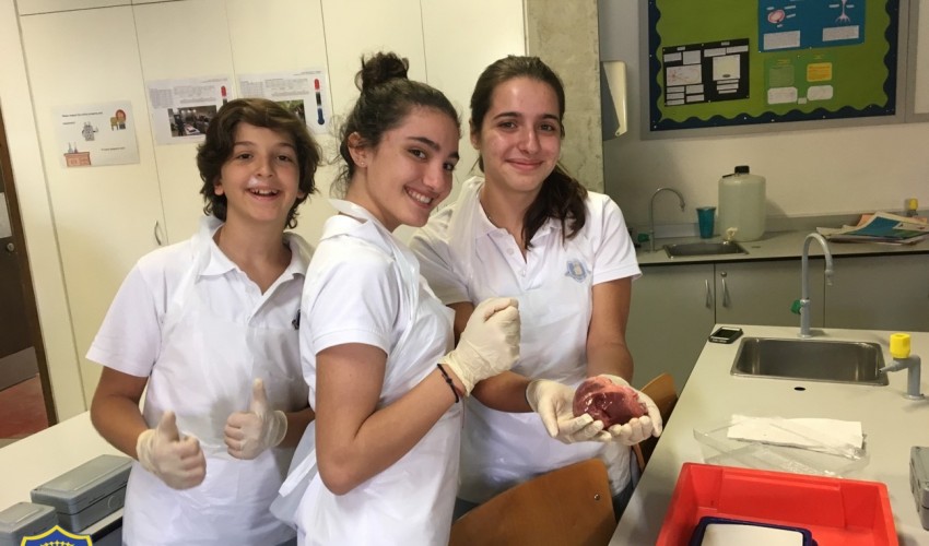 Year 5 -  heart dissections 